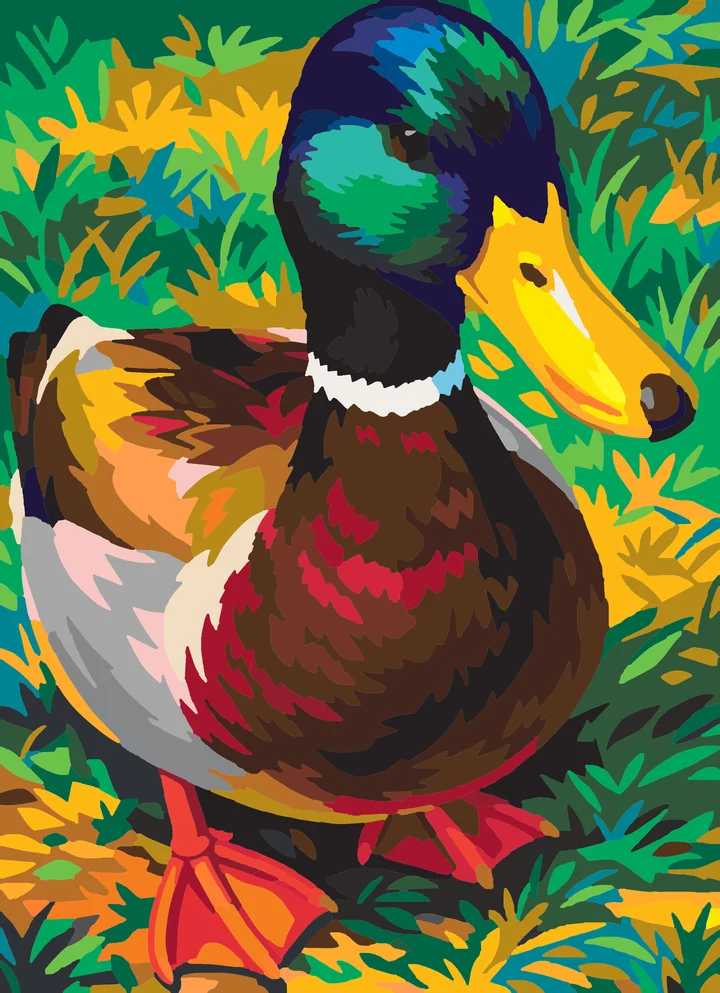 A Mallard’s Measured Gaze