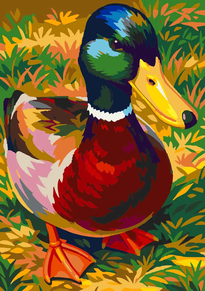 A Mallard’s Measured Gaze Amsterdam 36 preview