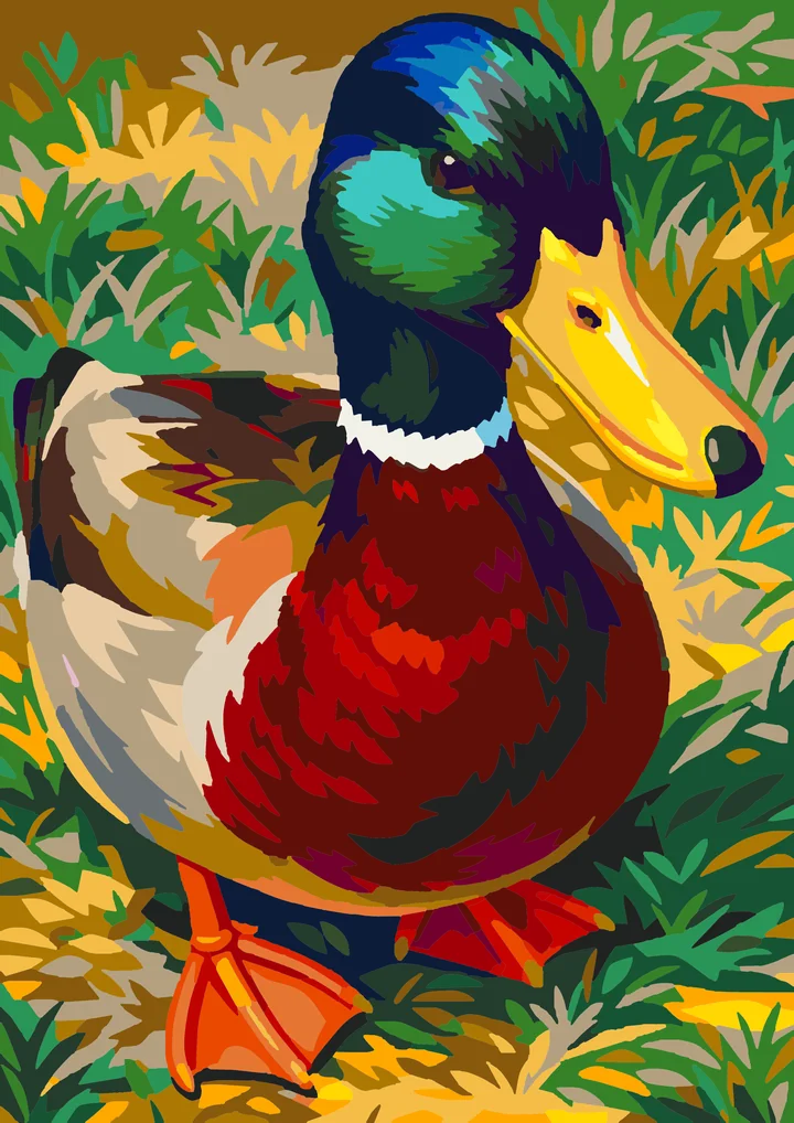 A Mallard’s Measured Gaze Amsterdam 48 preview