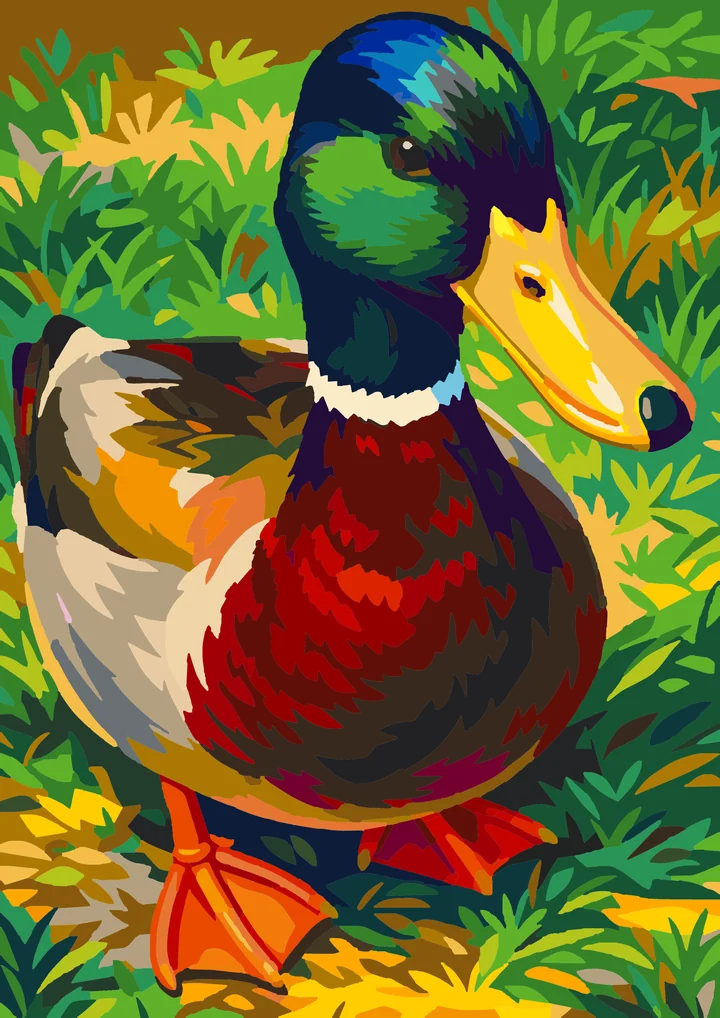 A Mallard’s Measured Gaze Amsterdam 72 preview