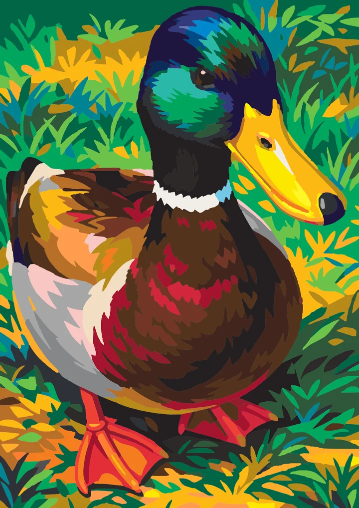 A Mallard’s Measured Gaze - Animals Advanced paint by numbers kit