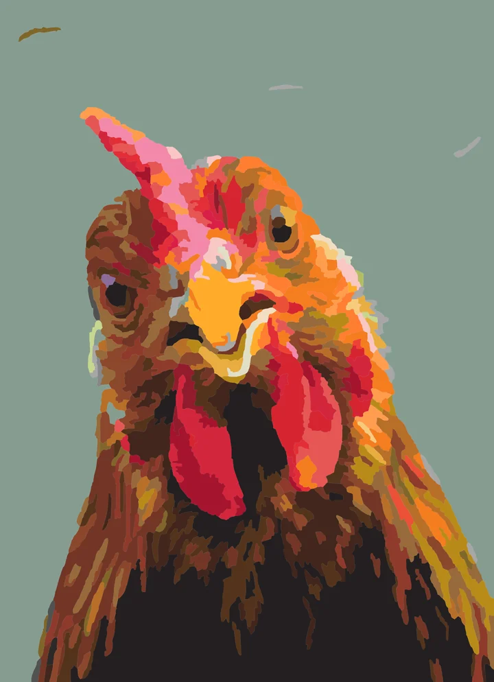 Poultry’s Puzzled Peek Liquitex 72 preview