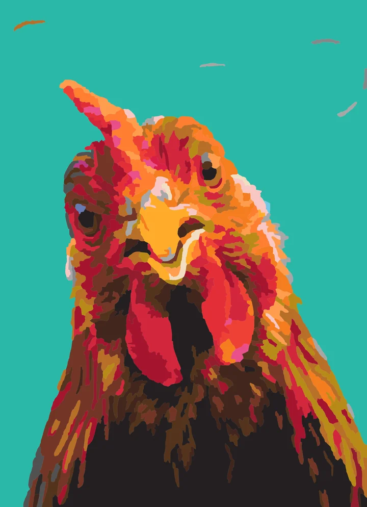 Poultry’s Puzzled Peek paint by numbers kit with 31 colors