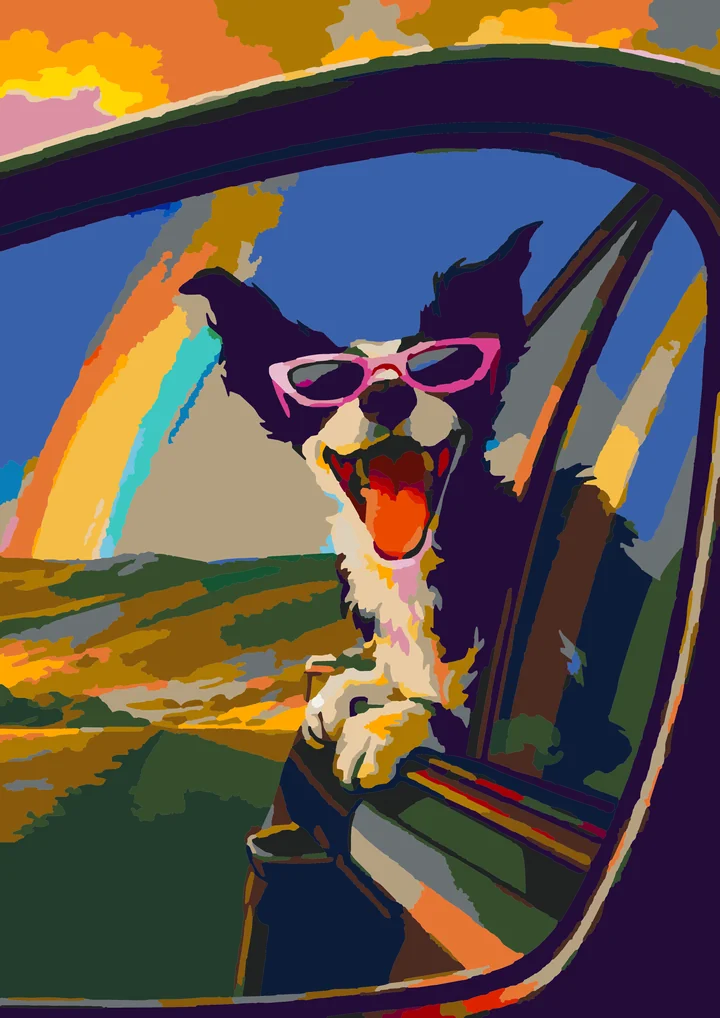 Road Trippin’ Rainbow Pup Amsterdam 48 preview