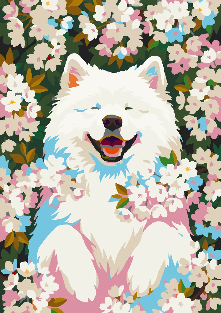 Samoyed’s Sakura Smile Amsterdam 36 preview