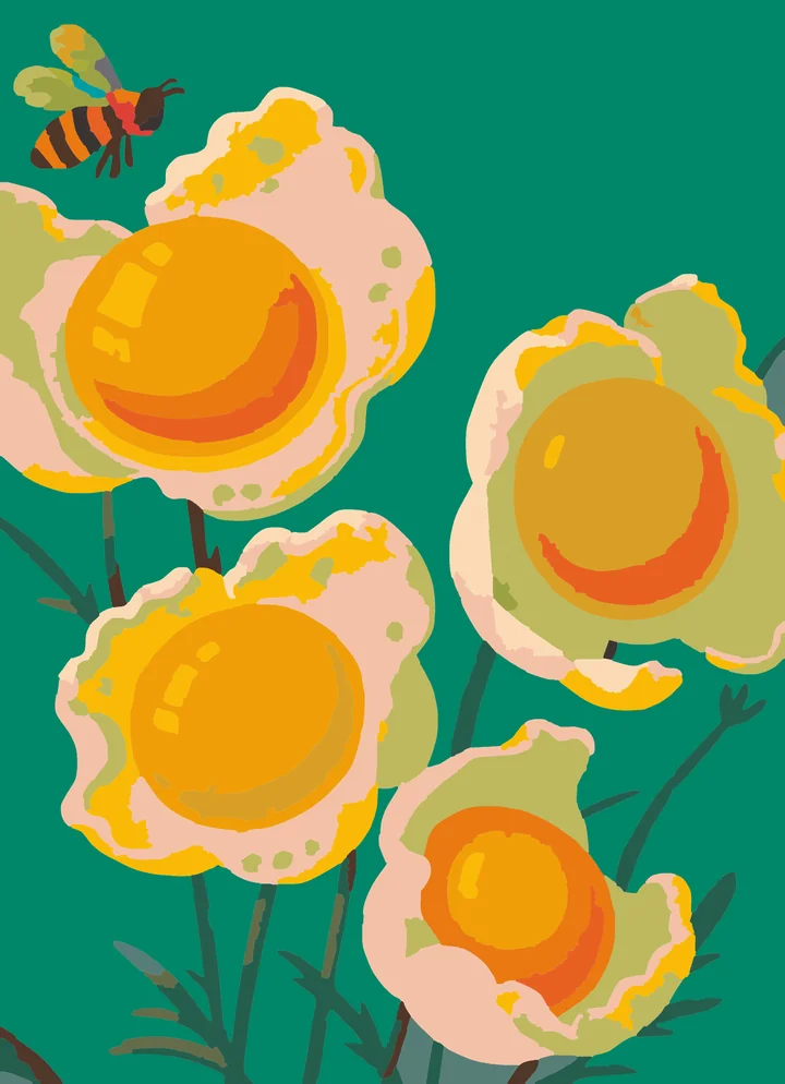 Sunny-Side Up Garden Party - Food & Drink Intermediate paint by numbers kit