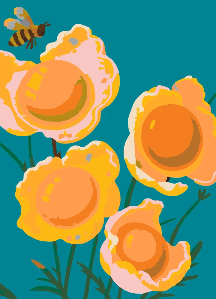 Sunny-Side Up Garden Party paint by numbers kit with 19 colors