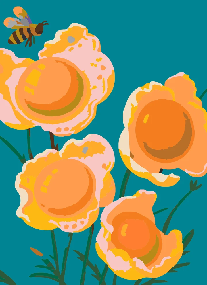 Sunny-Side Up Garden Party paint by numbers kit with 23 colors