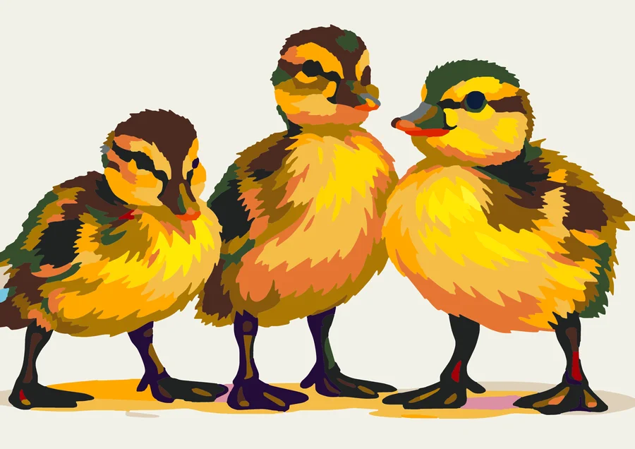 The Quack Pack’s Social Hour Amsterdam 36 preview