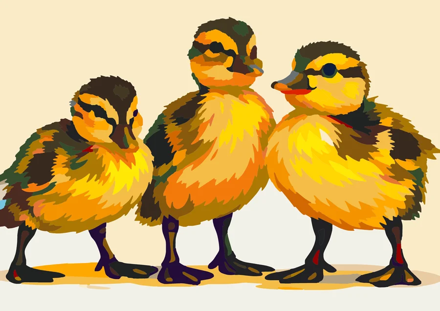 The Quack Pack’s Social Hour Amsterdam 72 preview